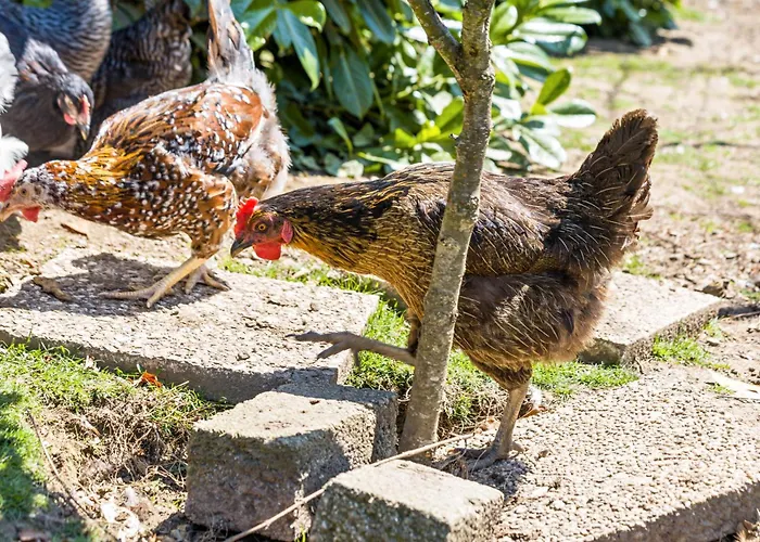 My Cocoon * Lüdenscheid